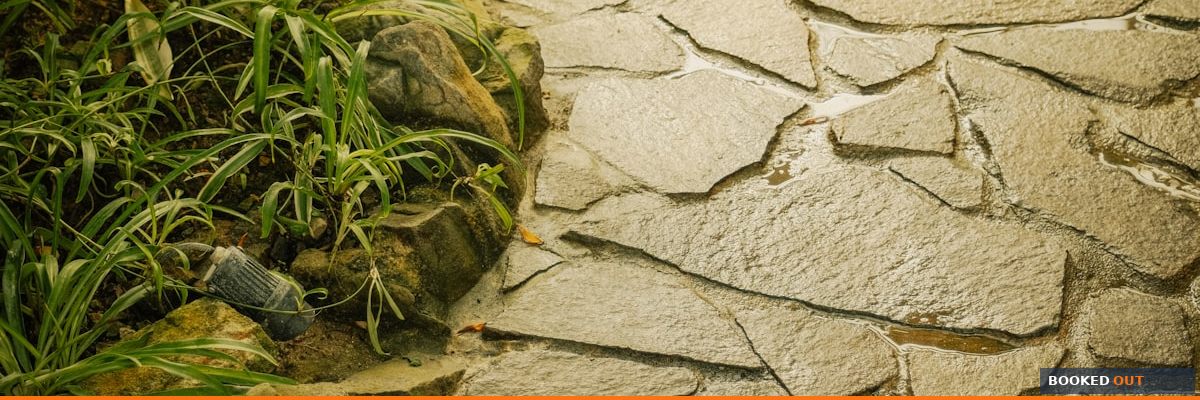 How to use before and after photos to win more landscaping clients