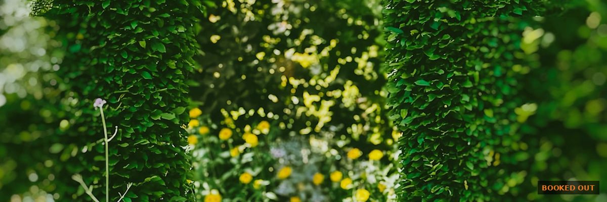 Landscaping company using Facebook and Instagram ads to generate leads on a phone