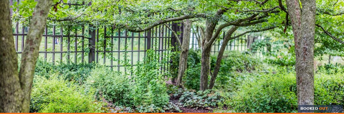 Google Business Profile optimization checklist for landscaping companies