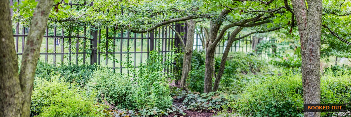 Phone showing Google Local Service Ads with the Google Guaranteed badge above search results for a landscaping company