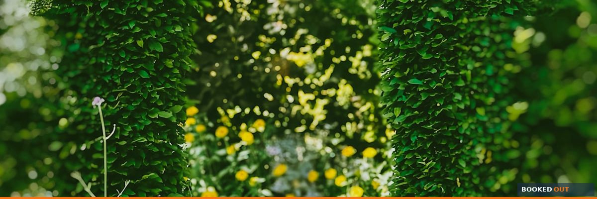 Social media marketing strategies that actually get landscaping companies more clients