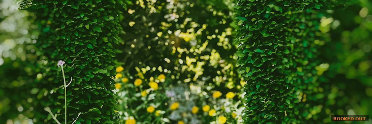 Landscaping crew filming a project transformation video on a smartphone